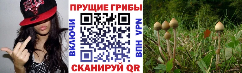 Псилоцибиновые грибы Magic Shrooms  купить  цена  Анапа 