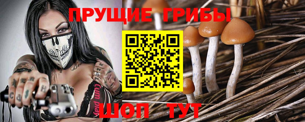 Псилоцибиновые грибы мицелий Анапа