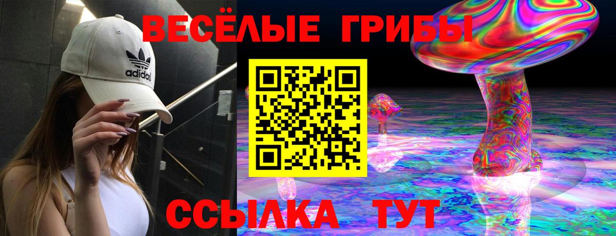 Галлюциногенные грибы Magic Shrooms  Вход с VPN  Анапа  Псилоцибиновые грибы GOLDEN TEACHER 
